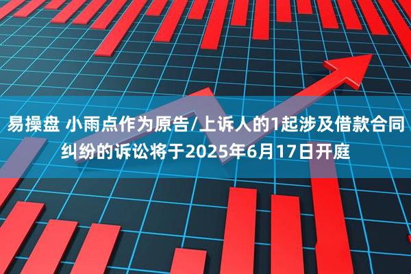 易操盘 小雨点作为原告/上诉人的1起涉及借款合同纠纷的诉讼将于2025年6月17日开庭