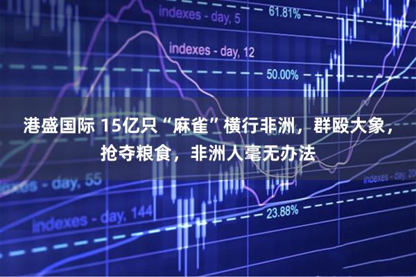 港盛国际 15亿只“麻雀”横行非洲，群殴大象，抢夺粮食，非洲人毫无办法