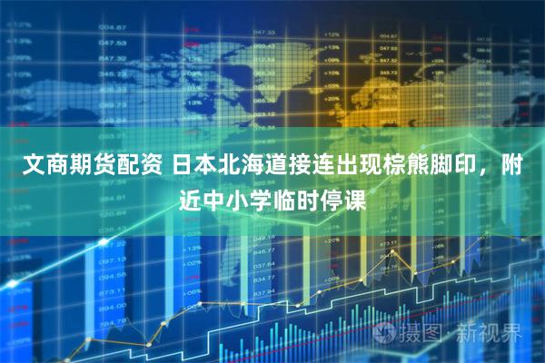 文商期货配资 日本北海道接连出现棕熊脚印，附近中小学临时停课