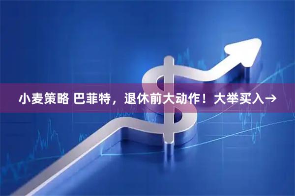 小麦策略 巴菲特，退休前大动作！大举买入→